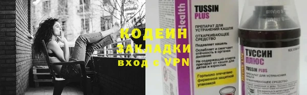 шишки Усолье-Сибирское